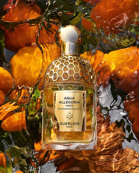 aqua allegoria mandarine basilic fragrantica